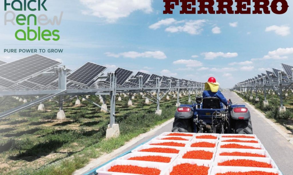FALCK RENEWABLES E FERRERO