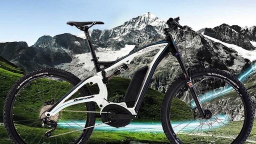 frenata nelle vendite di bici elettriche