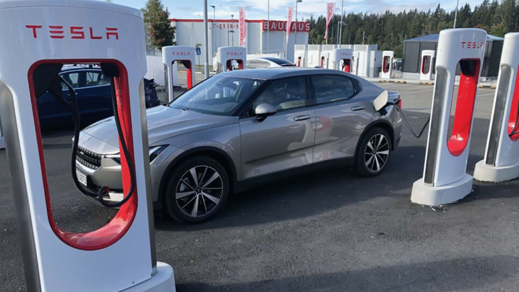 Musk, patrimonio da record - Automotoelettriche