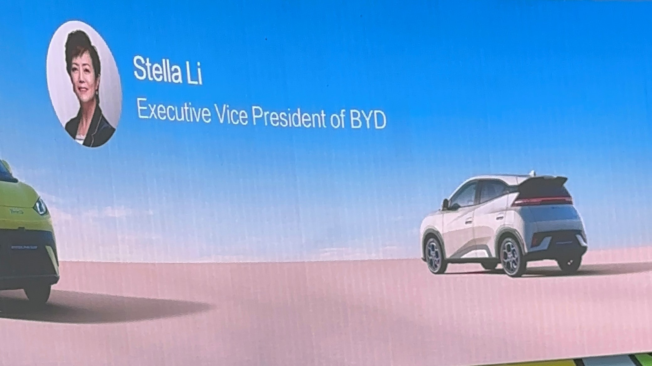 Stella Li - automotoelettriche